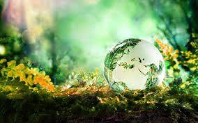 Programme Logo - Link to Home Page