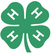 Programme Logo - Link to Home Page